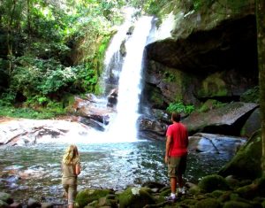 udzungwa